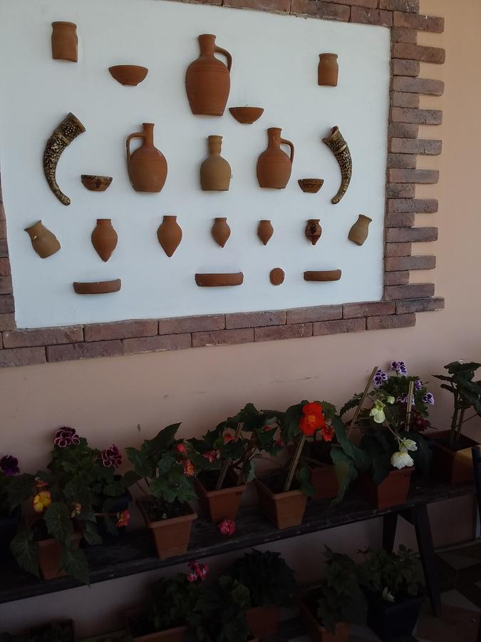 Guest House Medea Telawi Zewnętrze zdjęcie